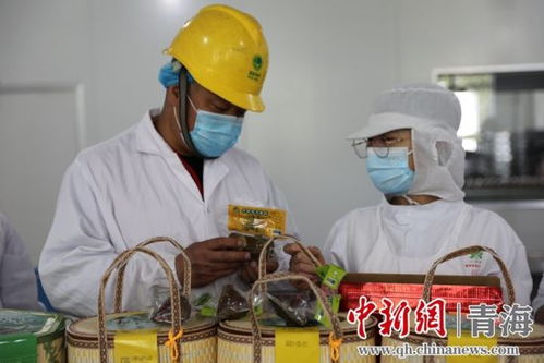 国网西宁供电公司为端午节期间用电保电护航 网络服务提升供电可靠性